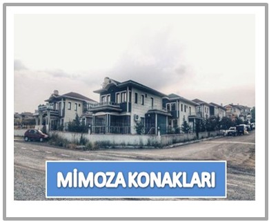 MİMOZA KONAKLARI Logo