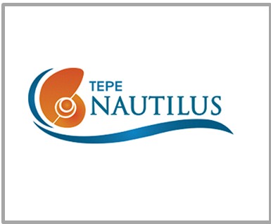 TEPE Logo